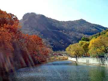 新澳天天开奖资料大全旅游团，黑道校园贵族小说